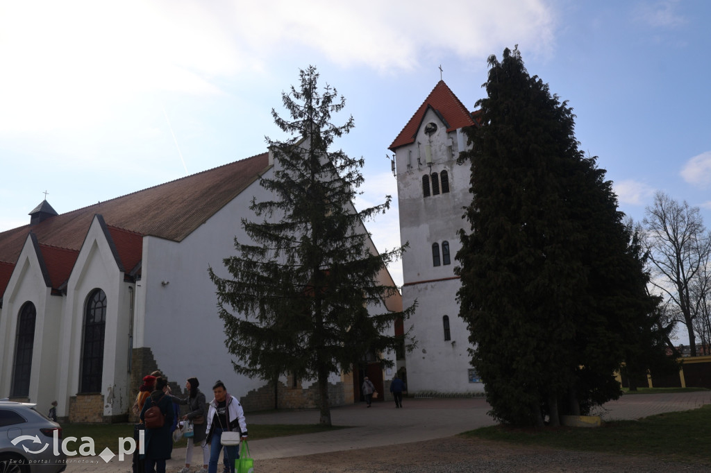 Groby Pańskie w Legnicy