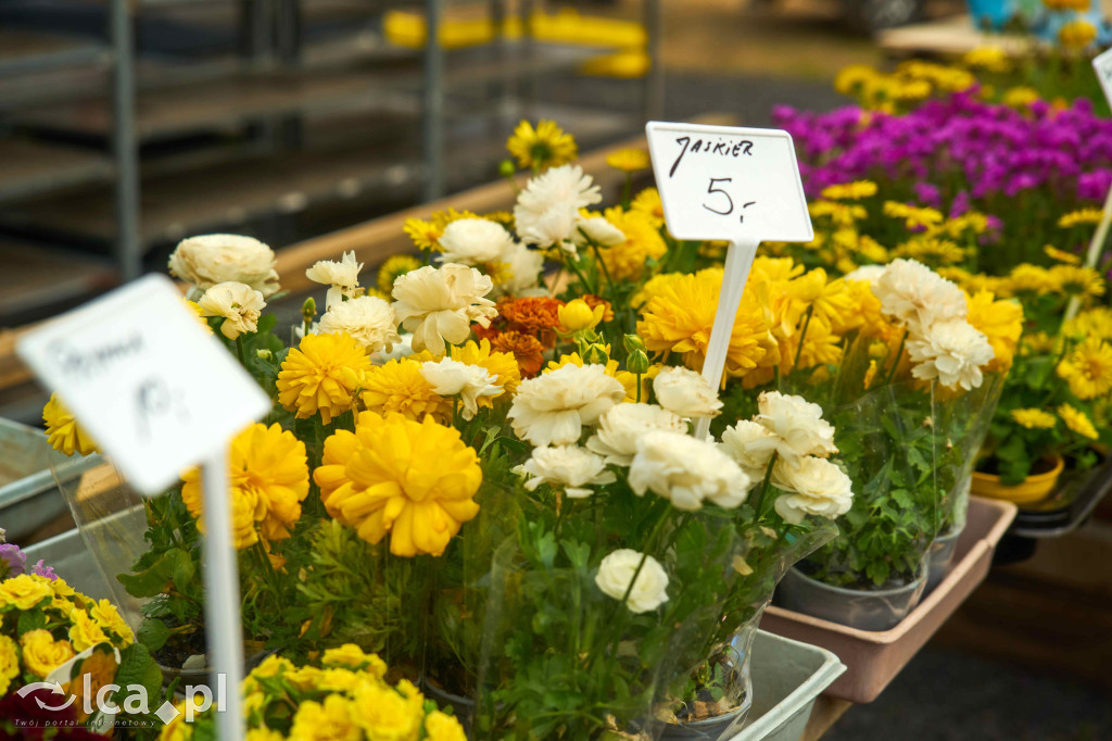 Lokalne smaki i świąteczny klimat w Bartoszowie