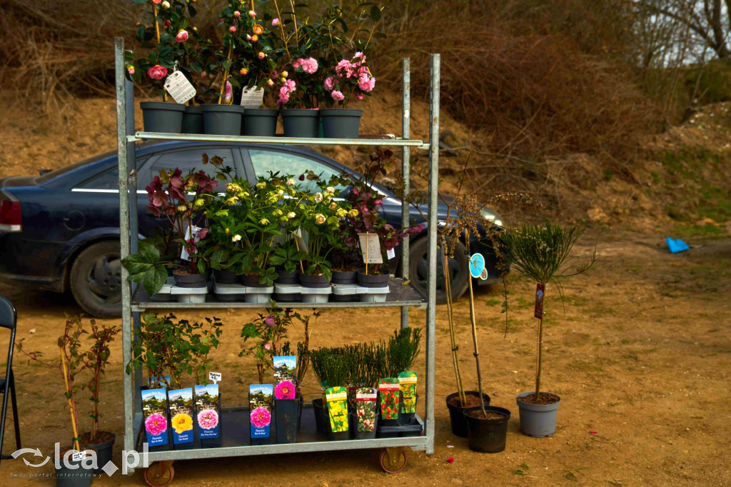 Lokalne smaki i świąteczny klimat w Bartoszowie