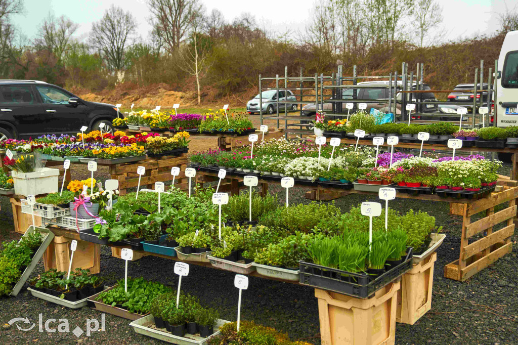 Lokalne smaki i świąteczny klimat w Bartoszowie