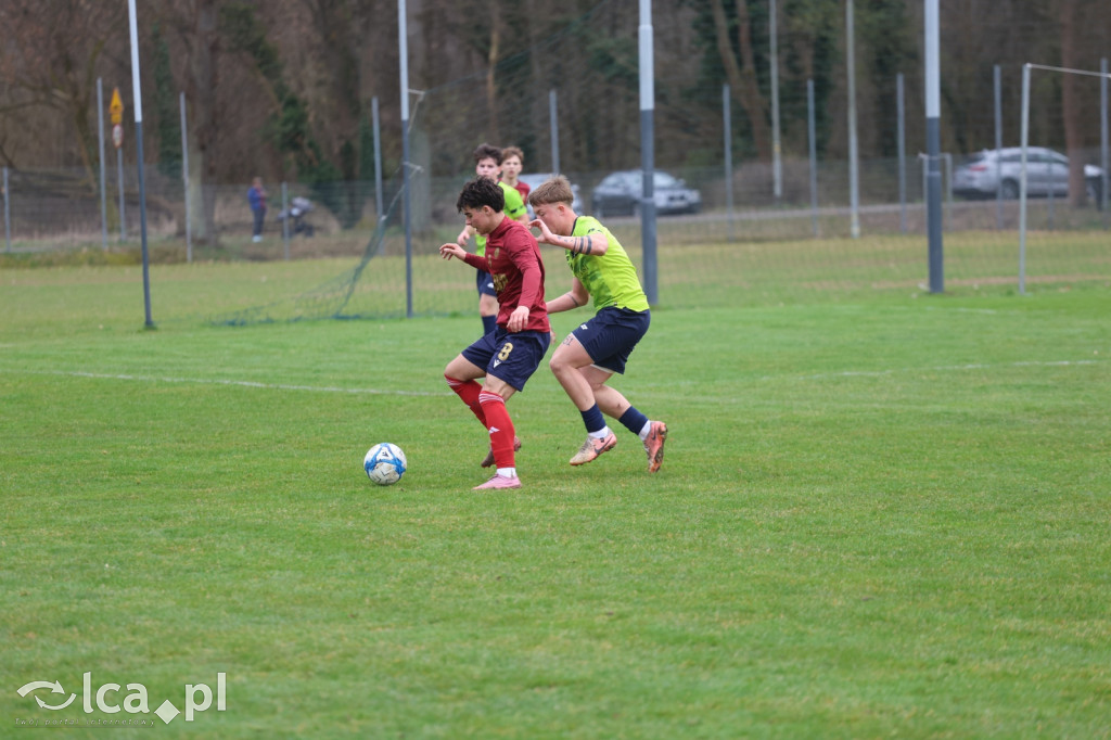 Festiwal bramek w Kochlicach!