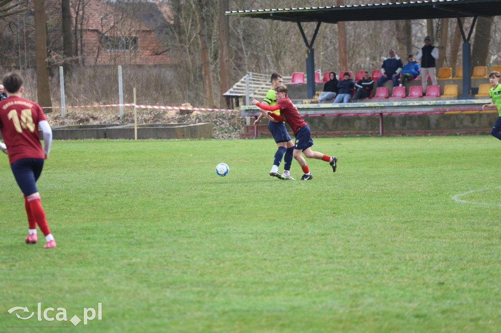 Festiwal bramek w Kochlicach!