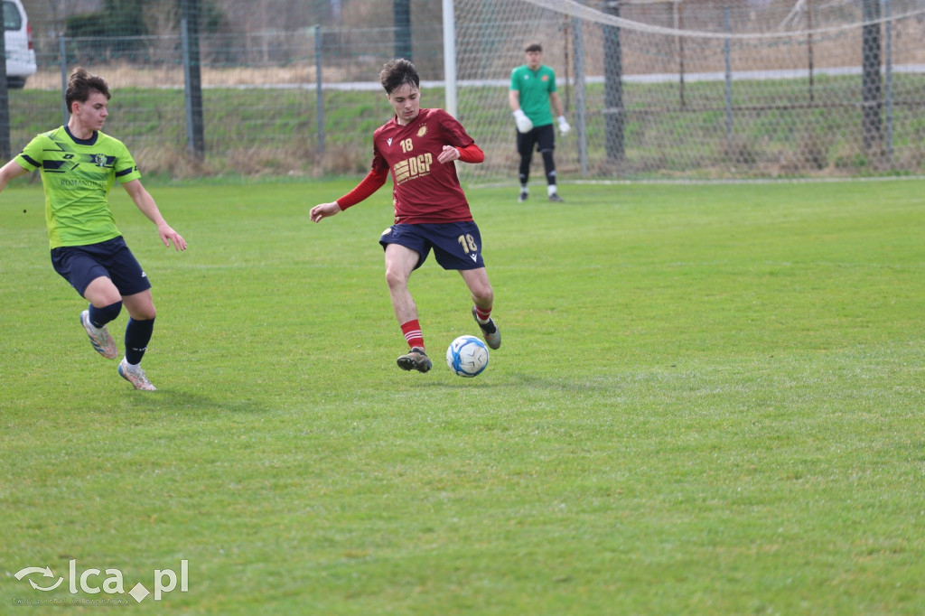 Festiwal bramek w Kochlicach!