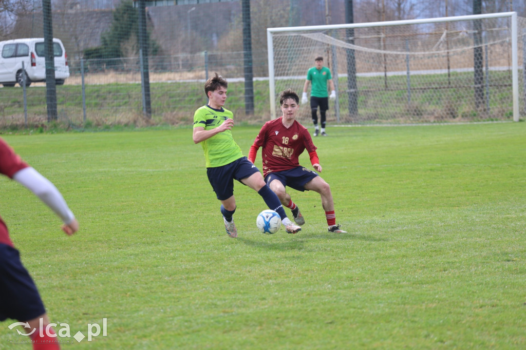 Festiwal bramek w Kochlicach!