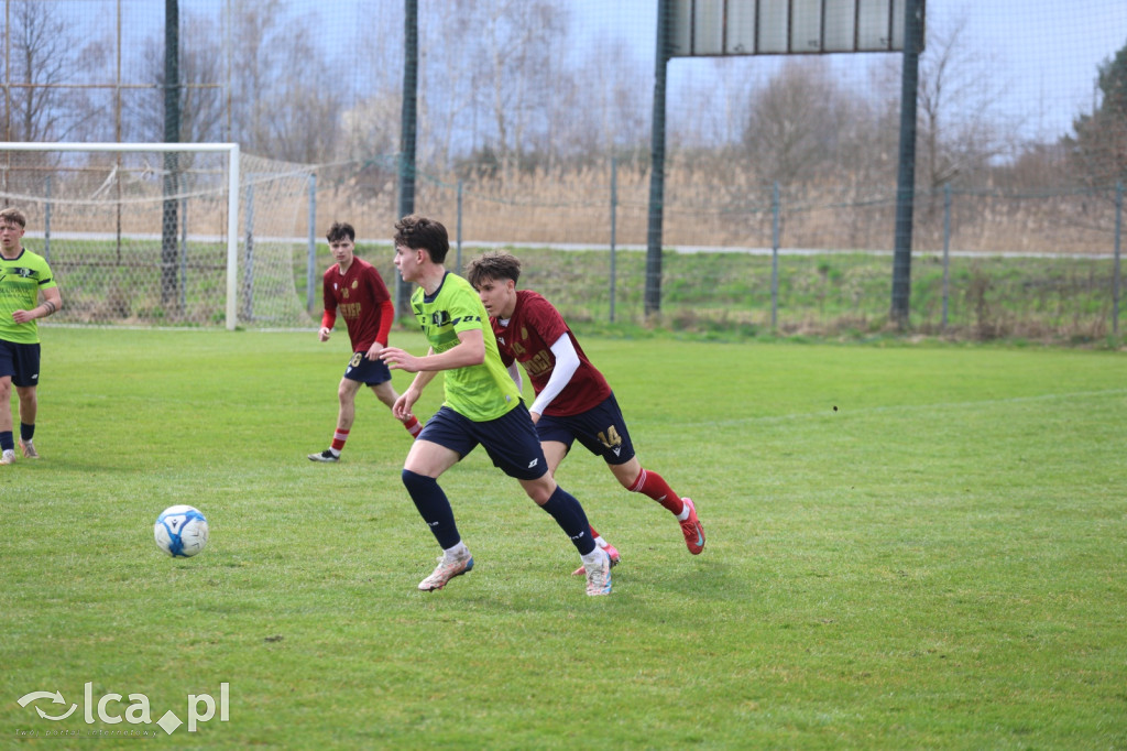 Festiwal bramek w Kochlicach!