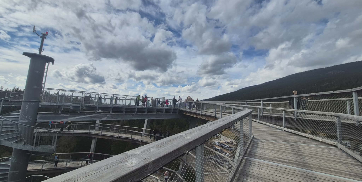 Ścieżka w koronach drzew w Karkonoszach