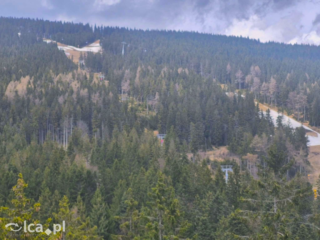 Ścieżka w koronach drzew w Karkonoszach