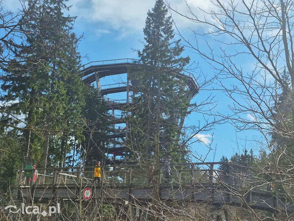 Ścieżka w koronach drzew w Karkonoszach