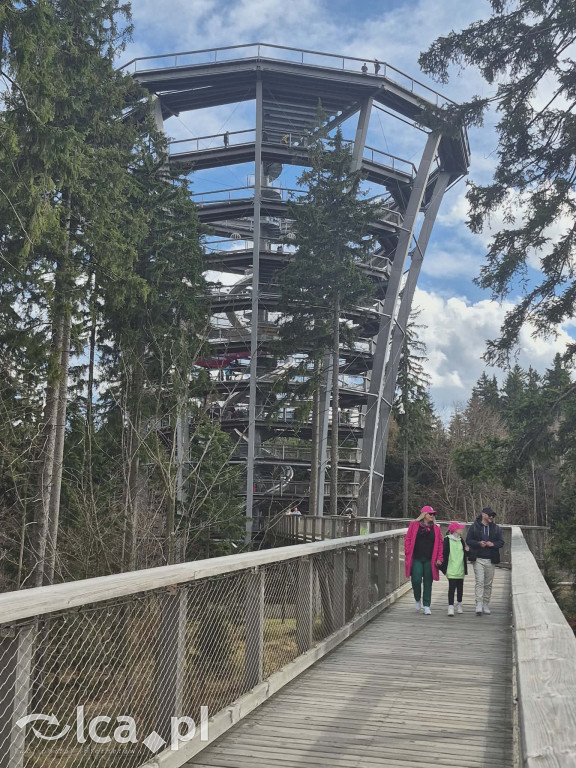 Ścieżka w koronach drzew w Karkonoszach