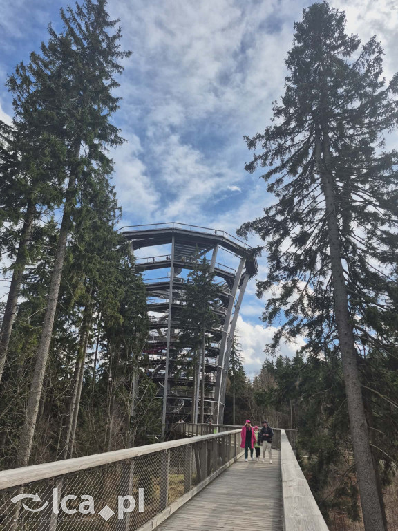 Ścieżka w koronach drzew w Karkonoszach