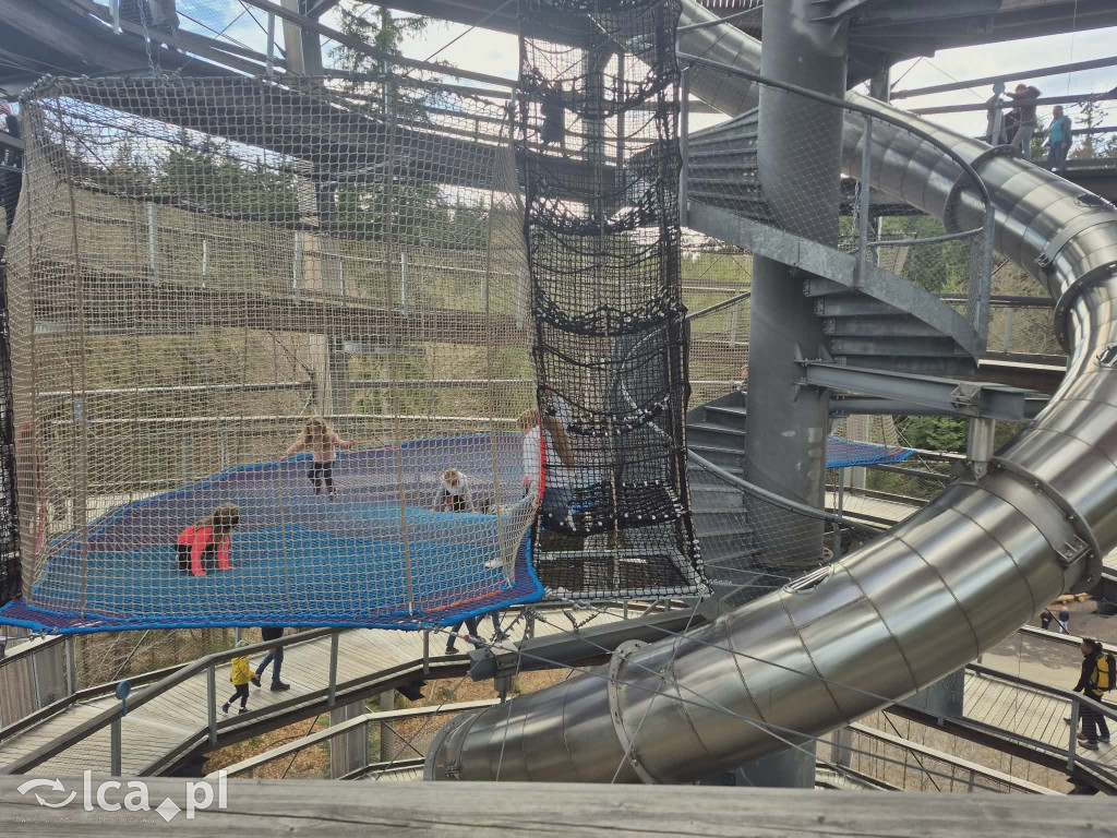 Ścieżka w koronach drzew w Karkonoszach