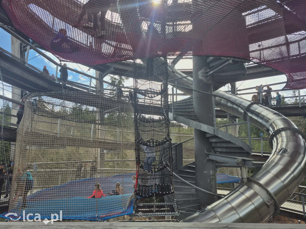 Ścieżka w koronach drzew w Karkonoszach