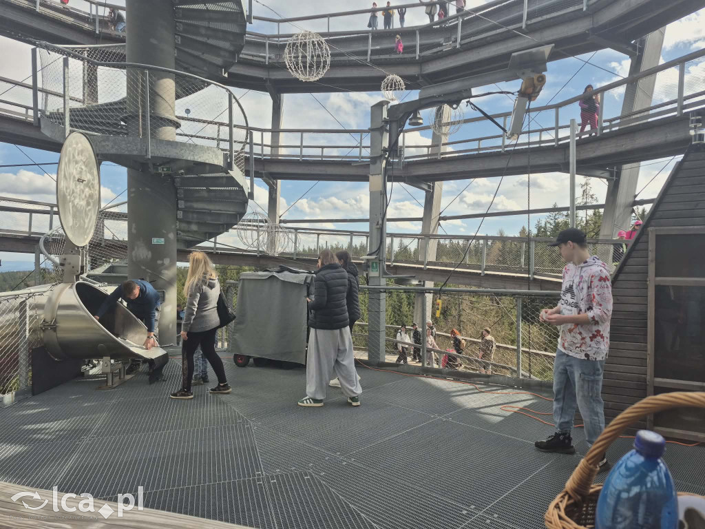 Ścieżka w koronach drzew w Karkonoszach