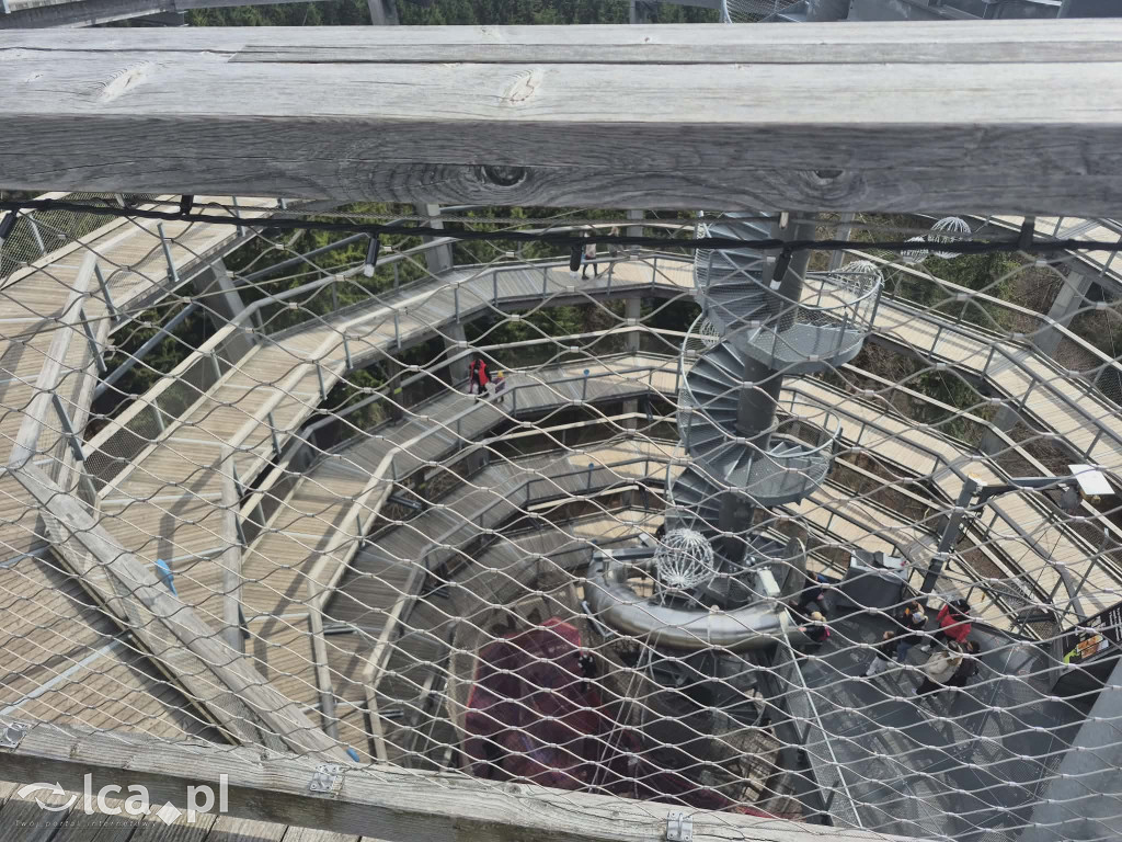 Ścieżka w koronach drzew w Karkonoszach