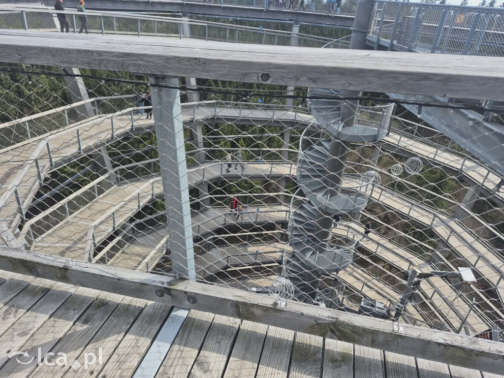 Ścieżka w koronach drzew w Karkonoszach