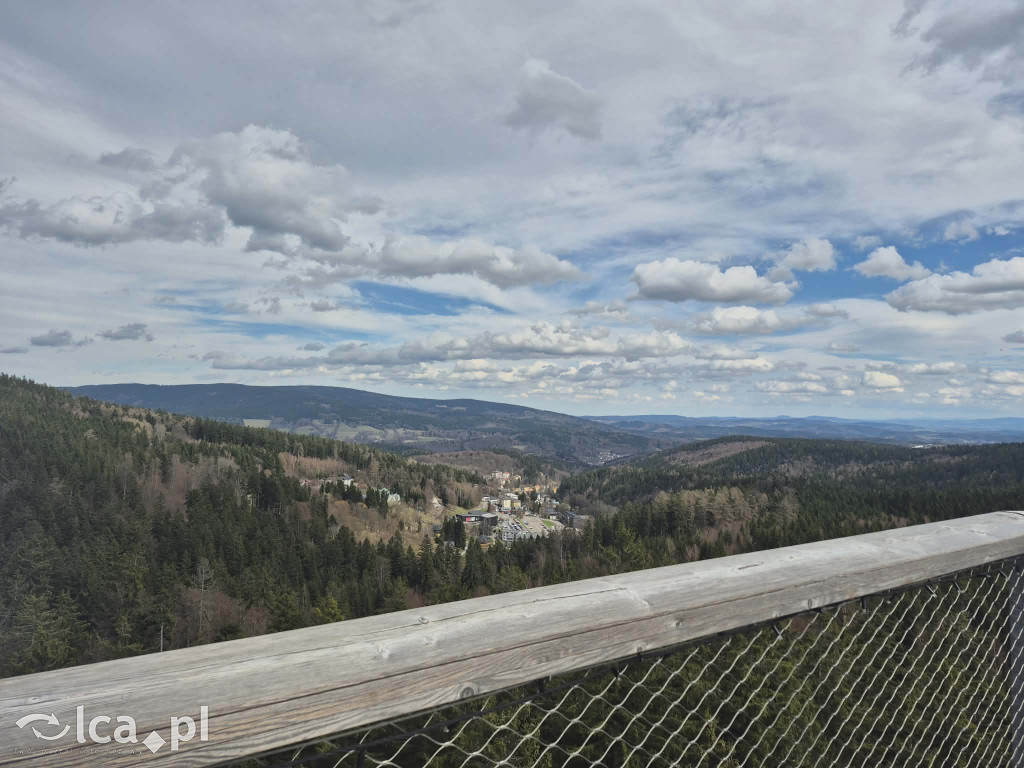 Ścieżka w koronach drzew w Karkonoszach