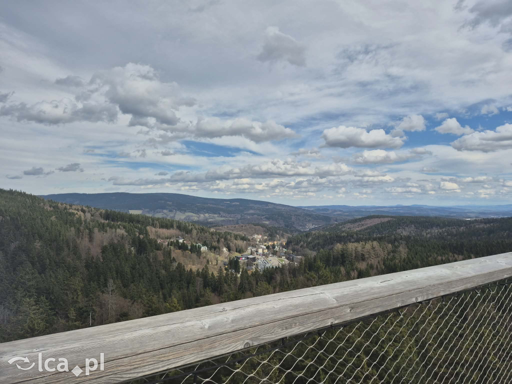 Ścieżka w koronach drzew w Karkonoszach