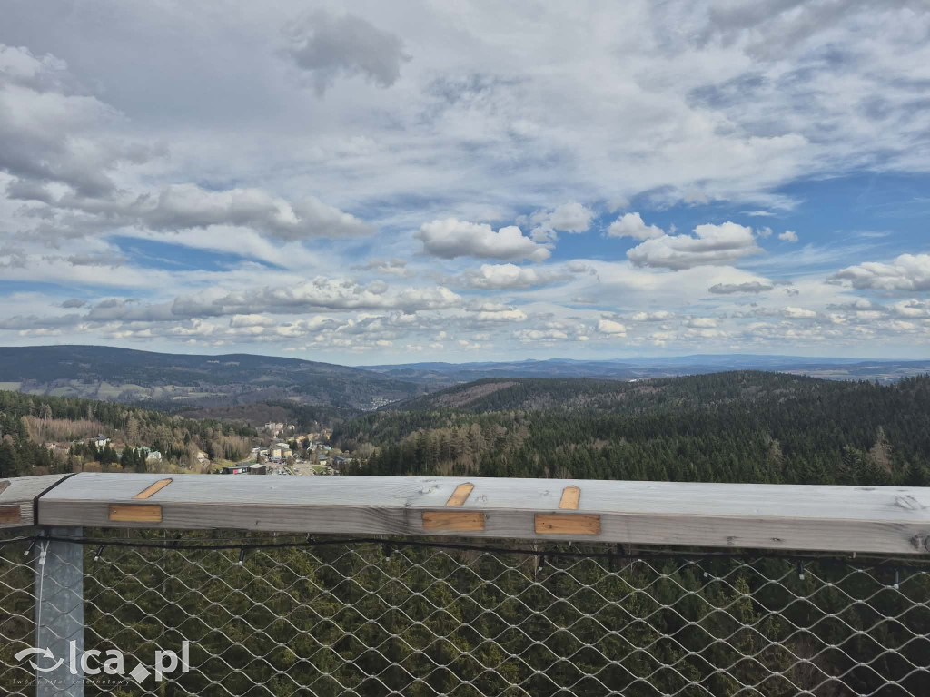 Ścieżka w koronach drzew w Karkonoszach