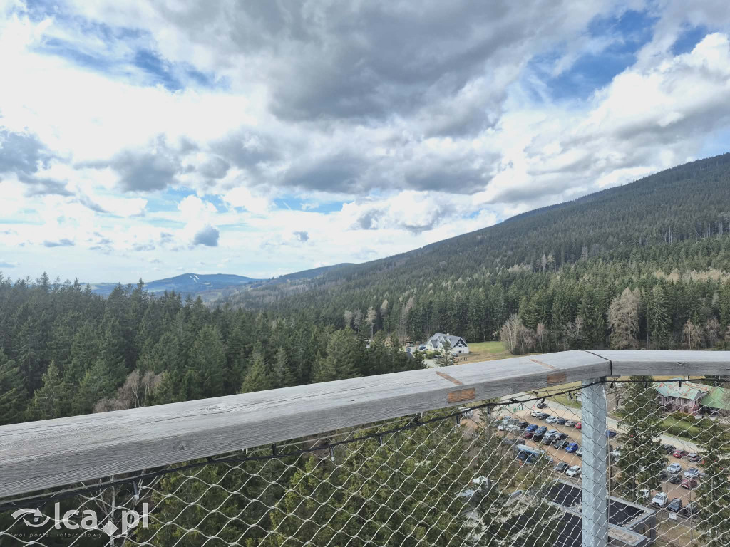 Ścieżka w koronach drzew w Karkonoszach