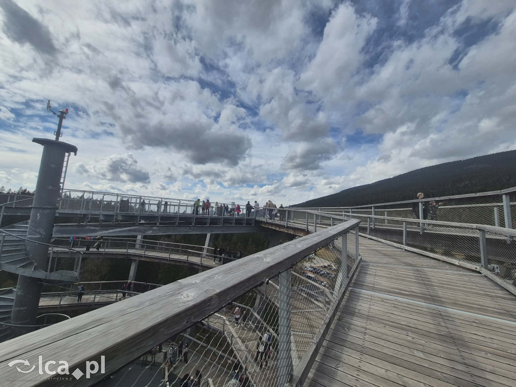 Ścieżka w koronach drzew w Karkonoszach