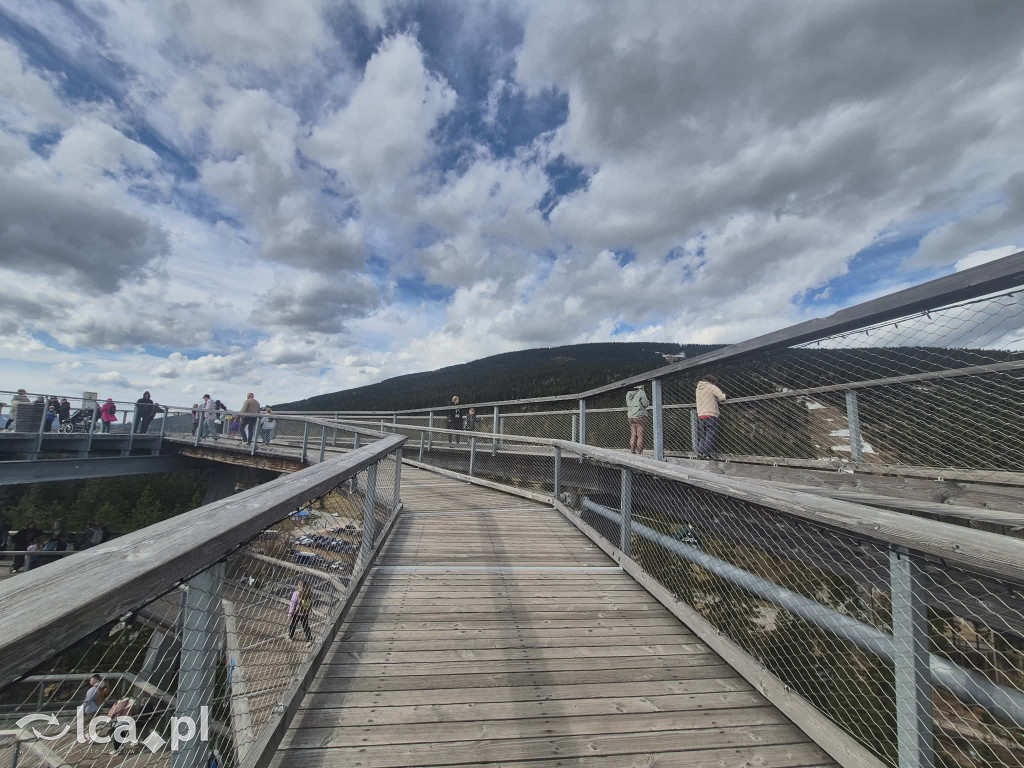 Ścieżka w koronach drzew w Karkonoszach