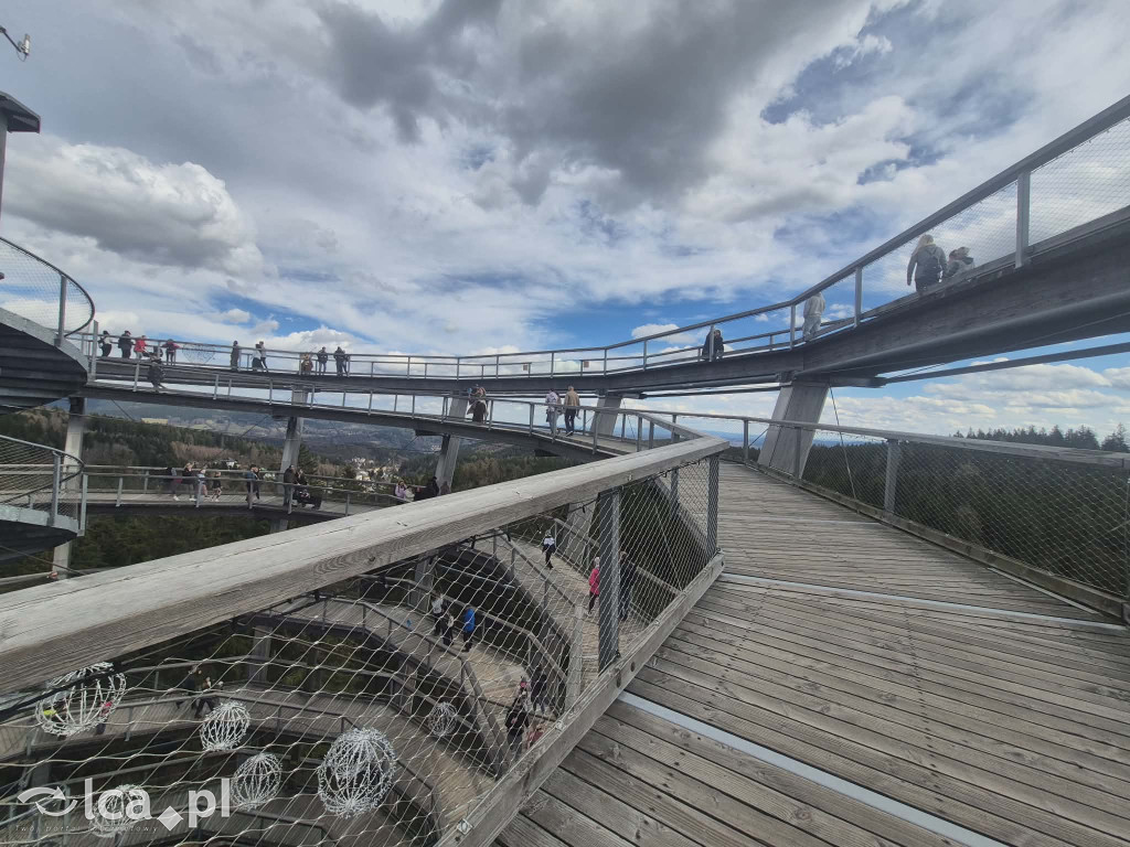 Ścieżka w koronach drzew w Karkonoszach