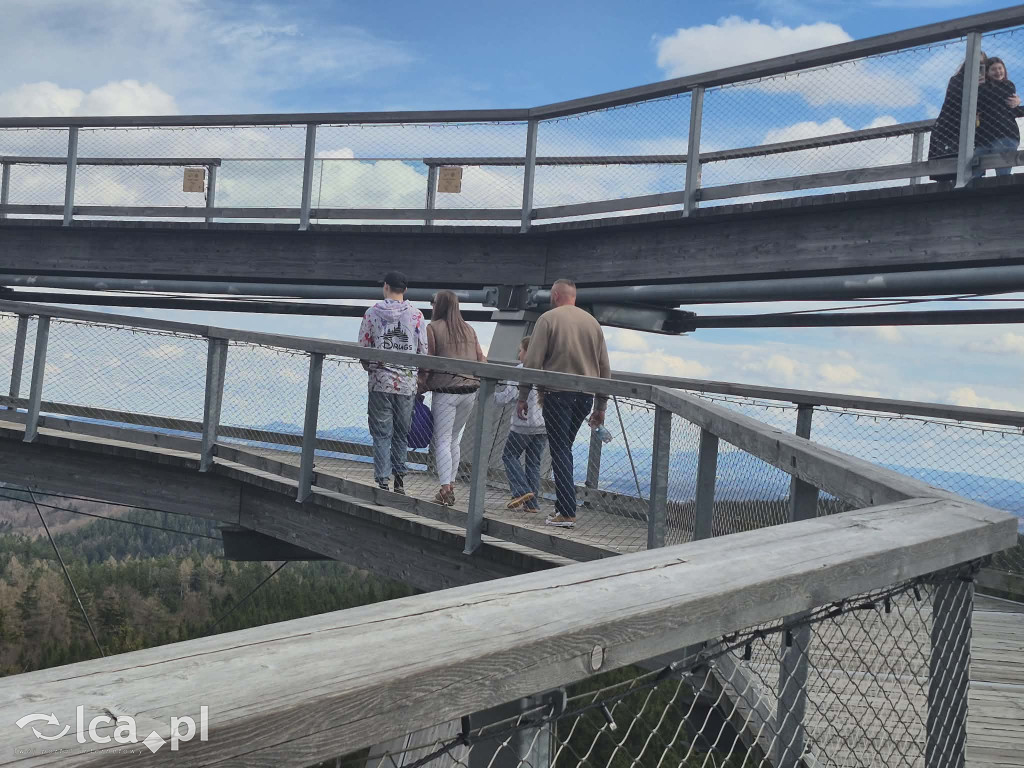 Ścieżka w koronach drzew w Karkonoszach