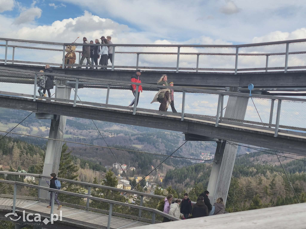 Ścieżka w koronach drzew w Karkonoszach