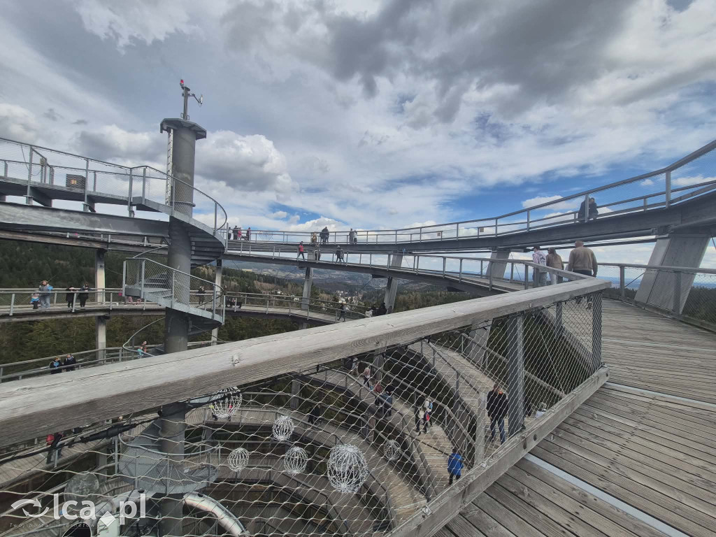 Ścieżka w koronach drzew w Karkonoszach