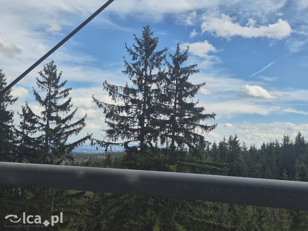 Ścieżka w koronach drzew w Karkonoszach