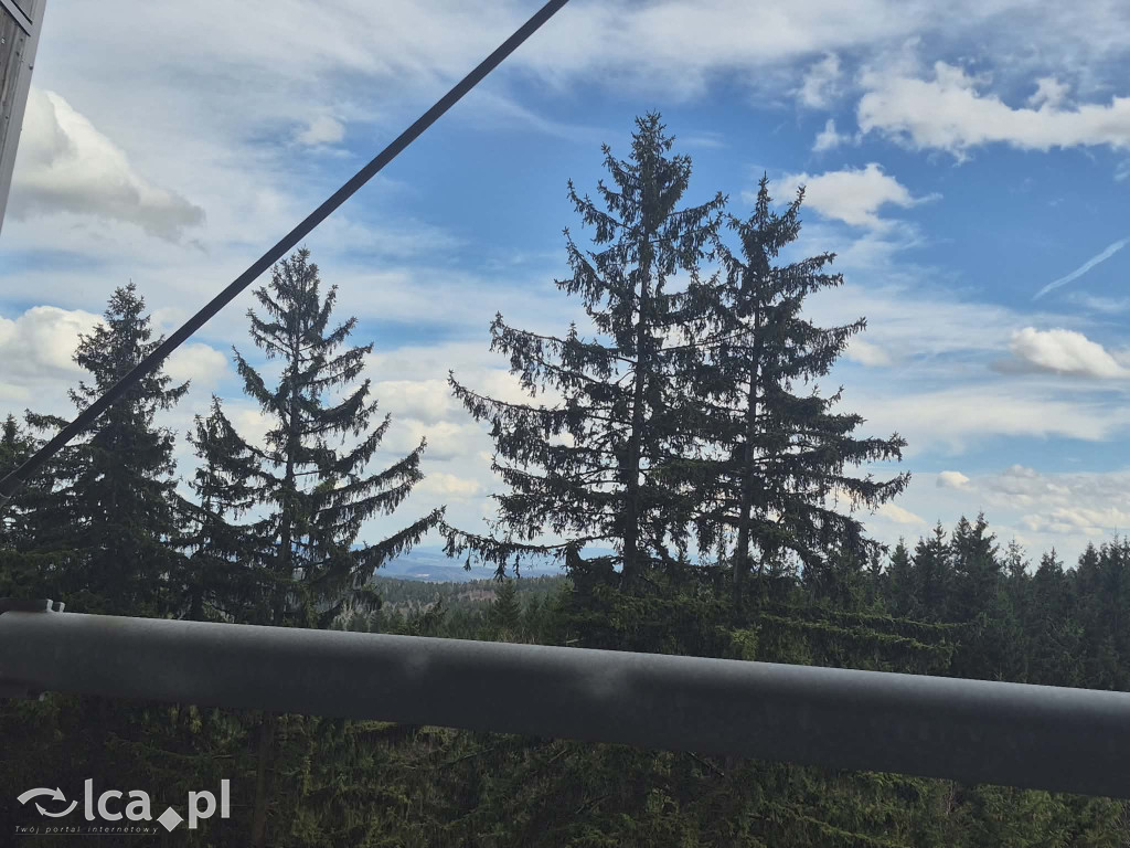 Ścieżka w koronach drzew w Karkonoszach