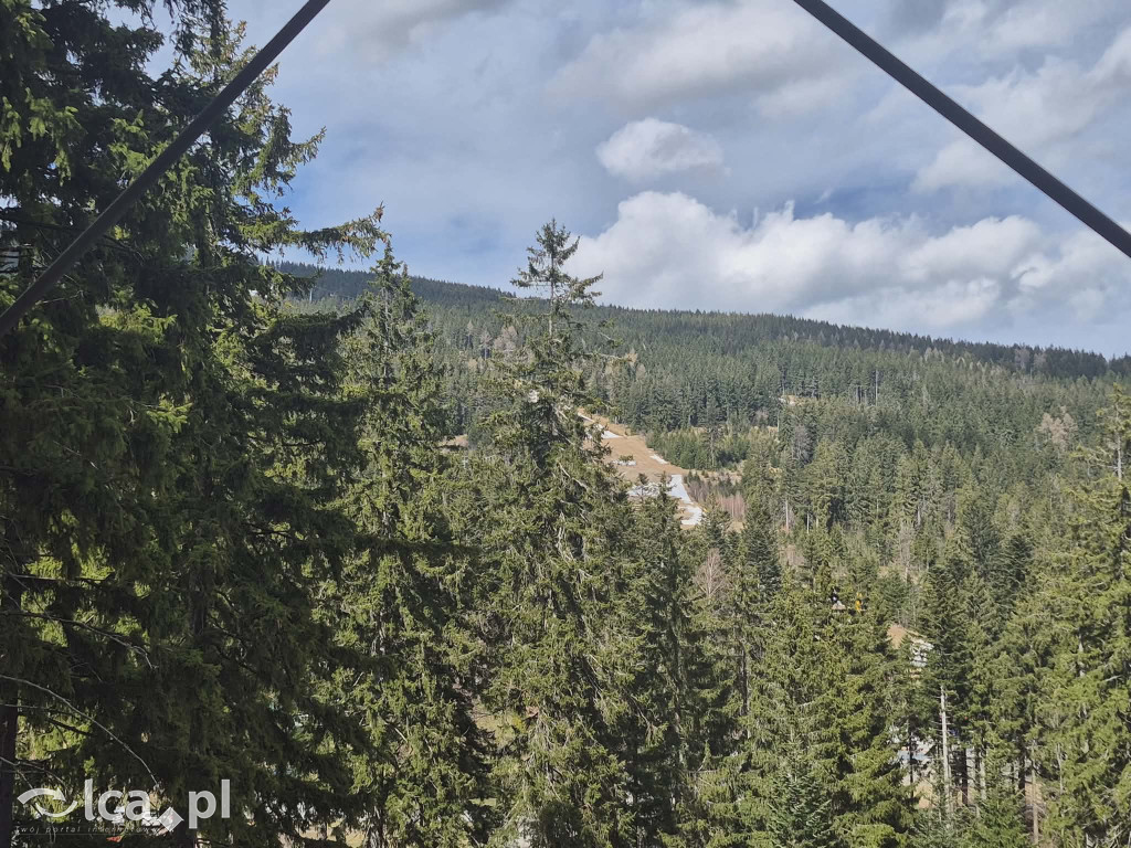 Ścieżka w koronach drzew w Karkonoszach