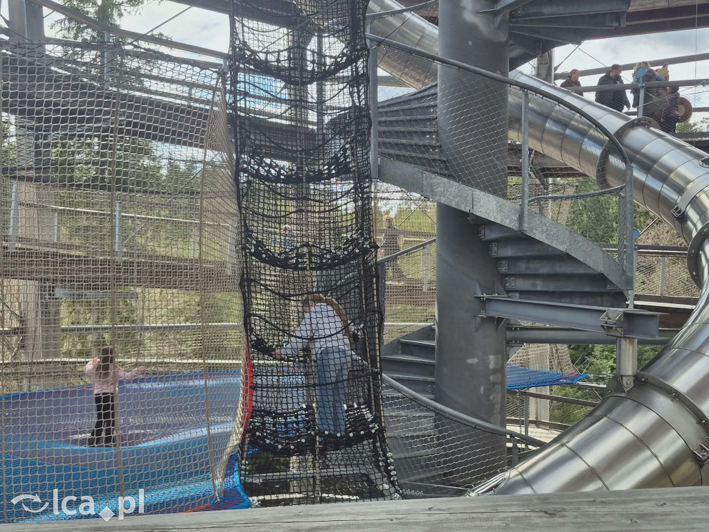 Ścieżka w koronach drzew w Karkonoszach