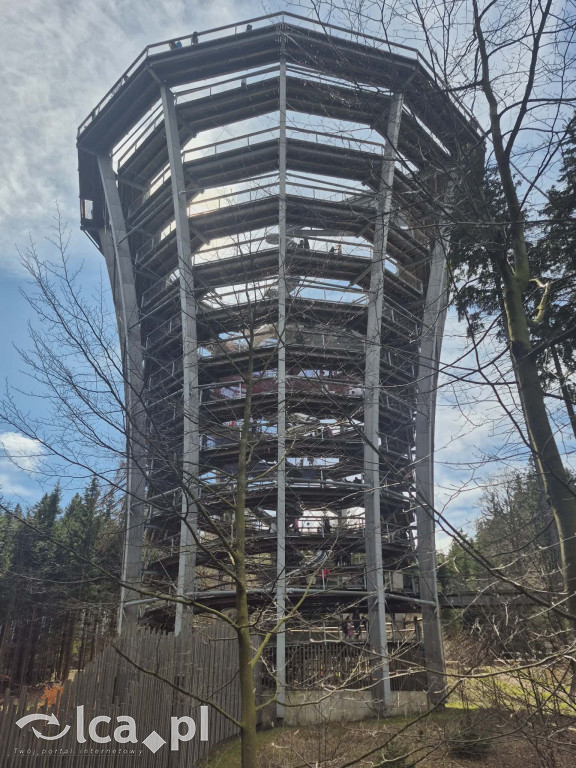 Ścieżka w koronach drzew w Karkonoszach