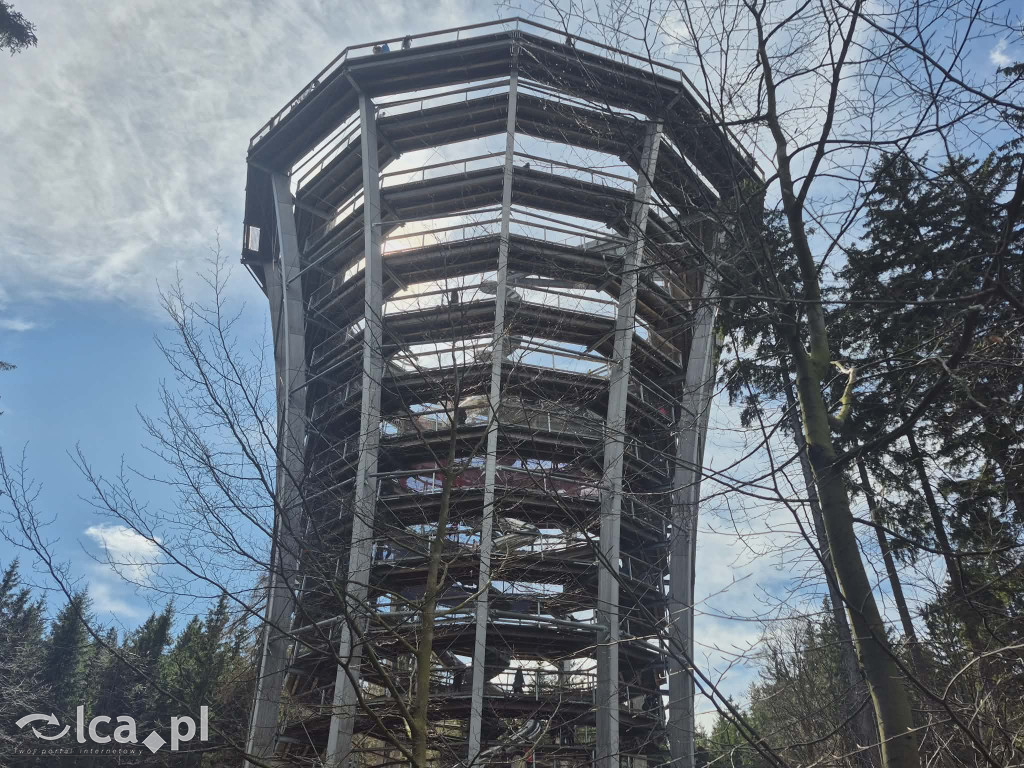 Ścieżka w koronach drzew w Karkonoszach