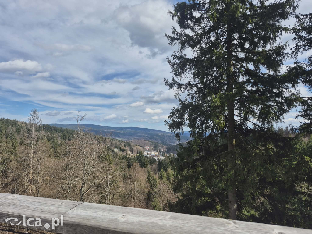 Ścieżka w koronach drzew w Karkonoszach