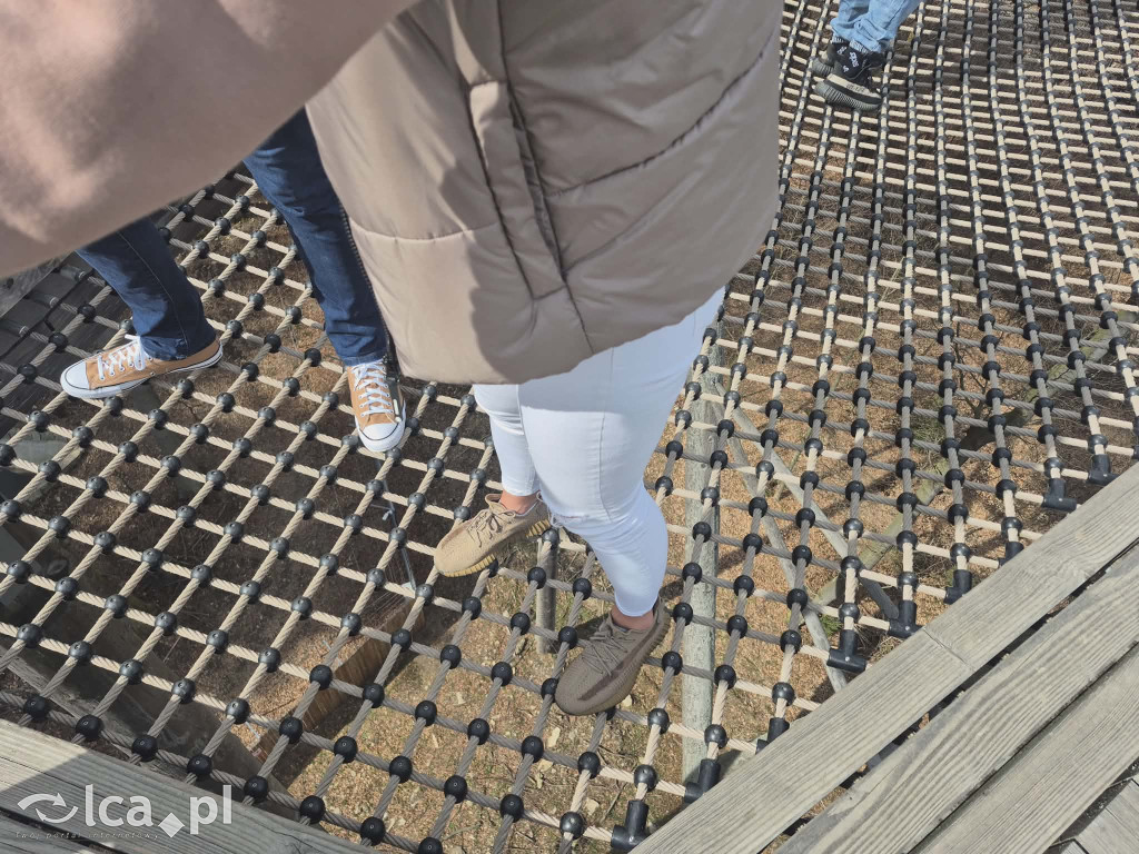 Ścieżka w koronach drzew w Karkonoszach