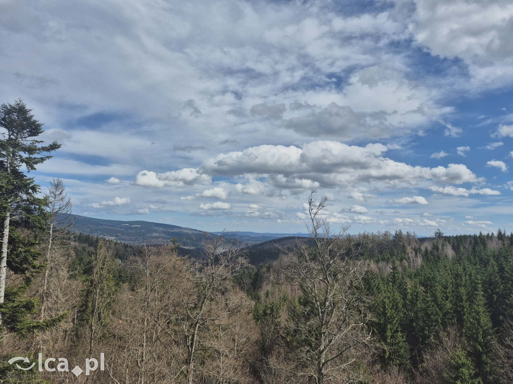 Ścieżka w koronach drzew w Karkonoszach