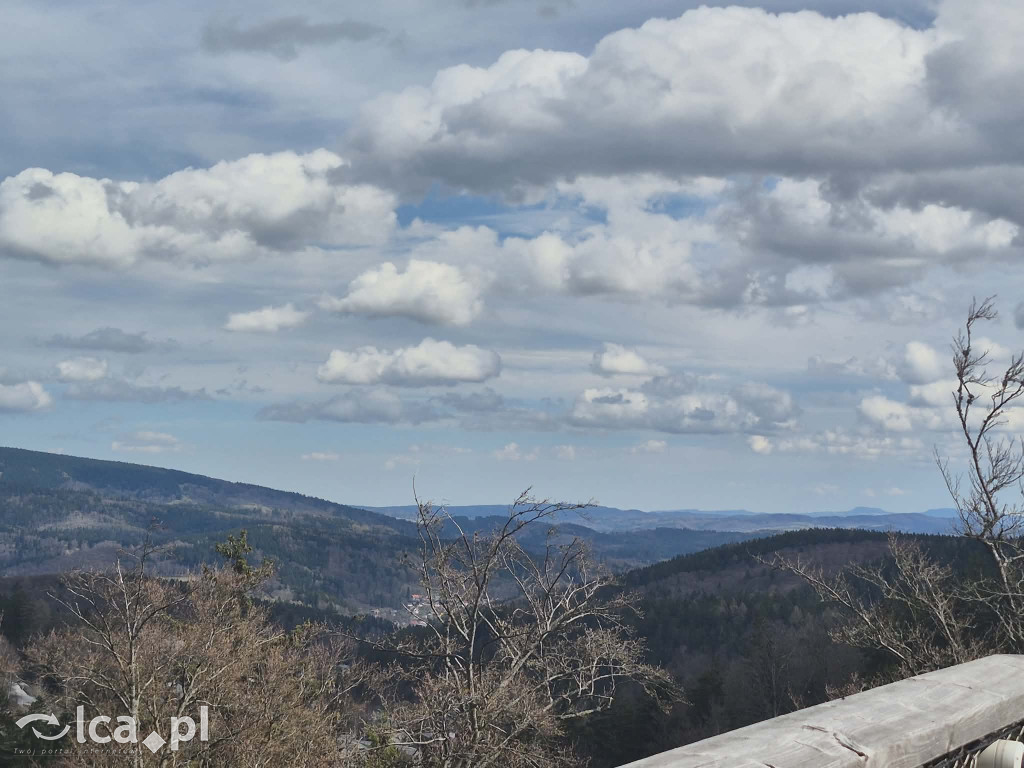 Ścieżka w koronach drzew w Karkonoszach