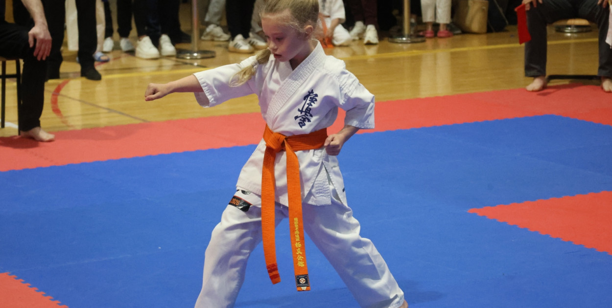 X SILESIA CUP Legnickie Pole