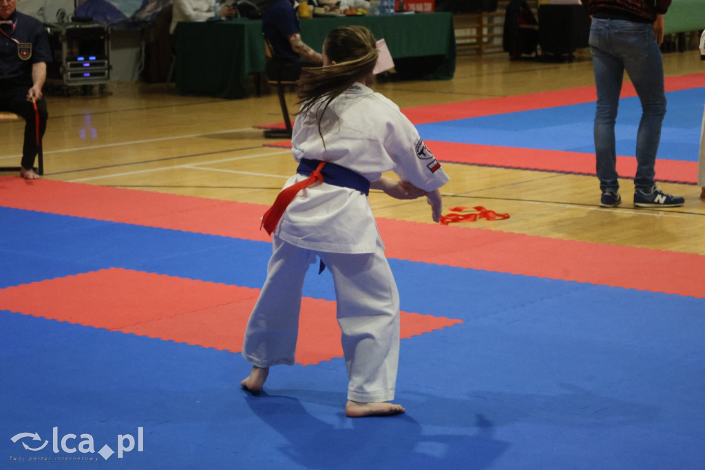 X SILESIA CUP Legnickie Pole