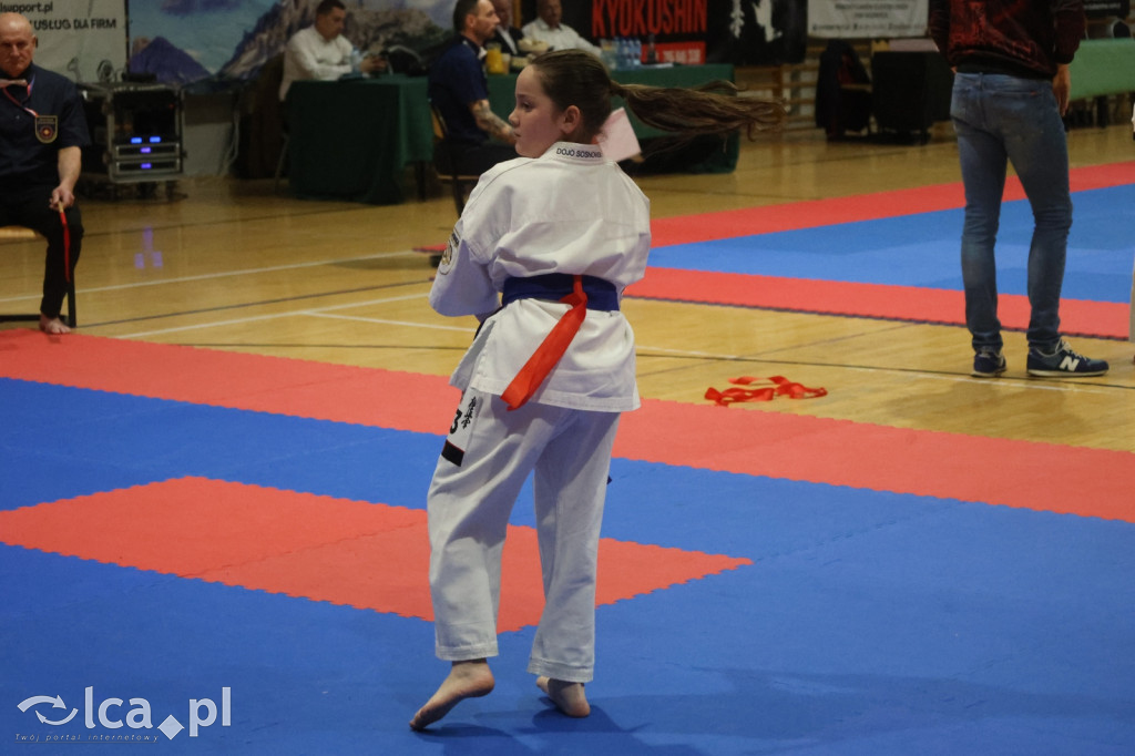 X SILESIA CUP Legnickie Pole