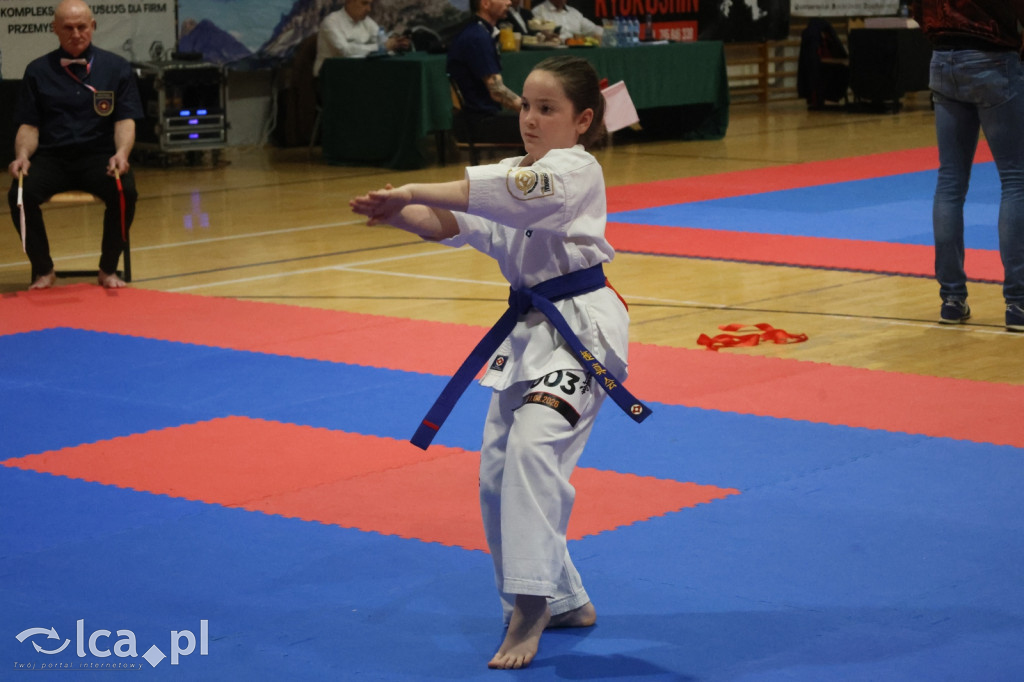 X SILESIA CUP Legnickie Pole