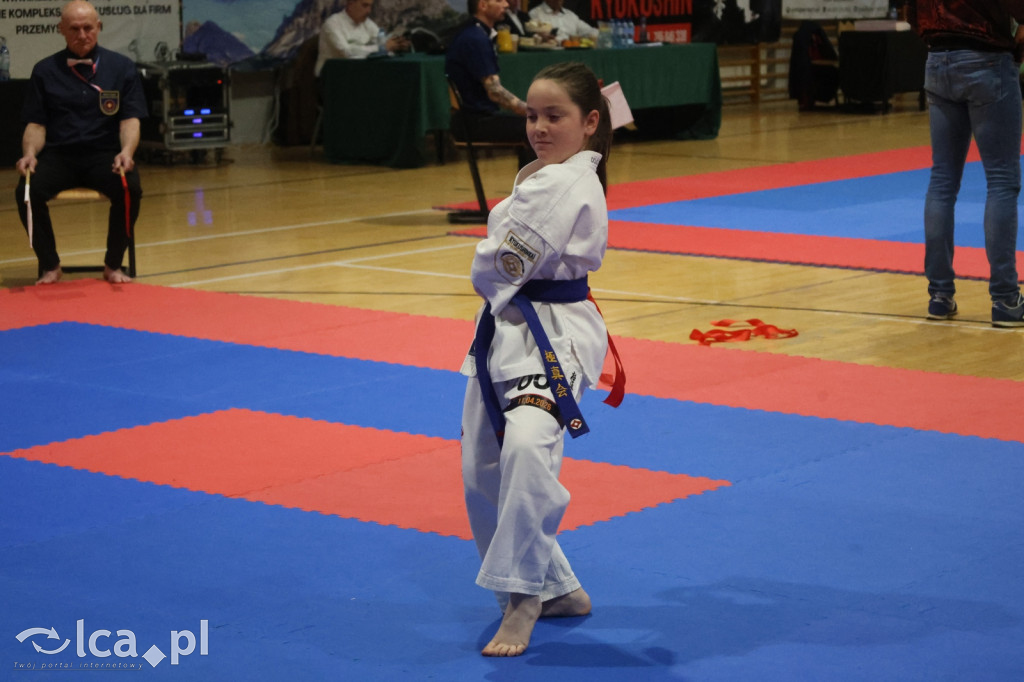 X SILESIA CUP Legnickie Pole