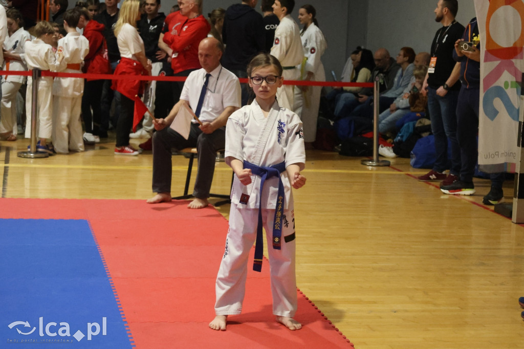 X SILESIA CUP Legnickie Pole