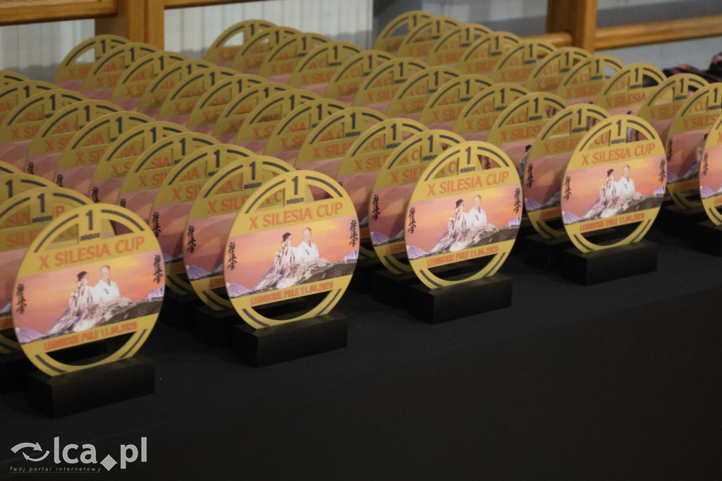 X SILESIA CUP Legnickie Pole
