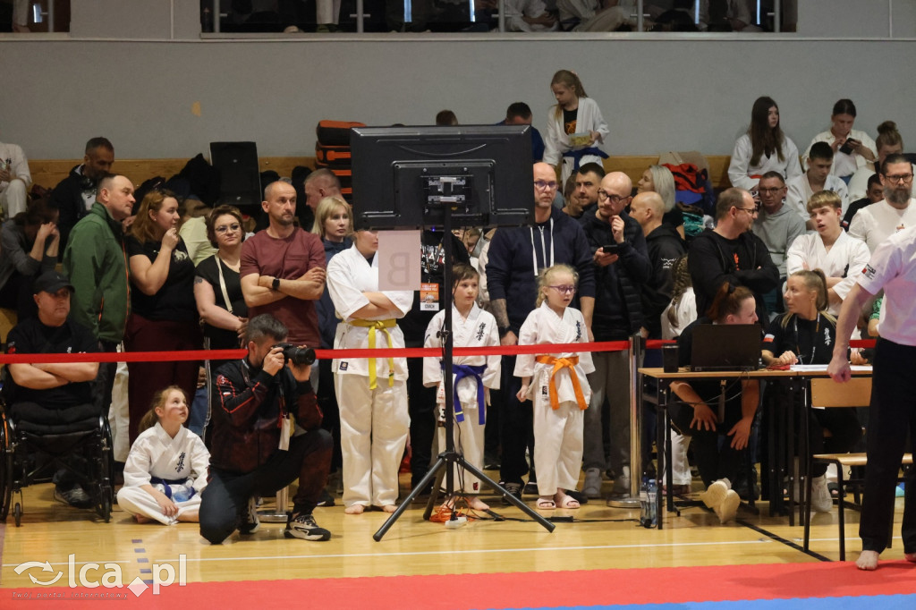 X SILESIA CUP Legnickie Pole