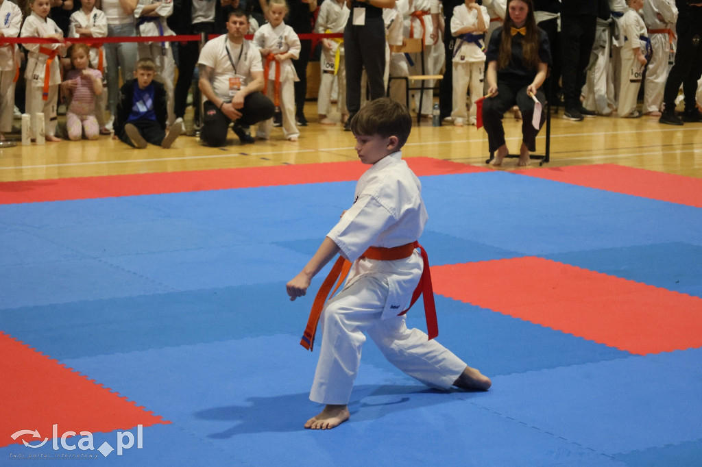 X SILESIA CUP Legnickie Pole