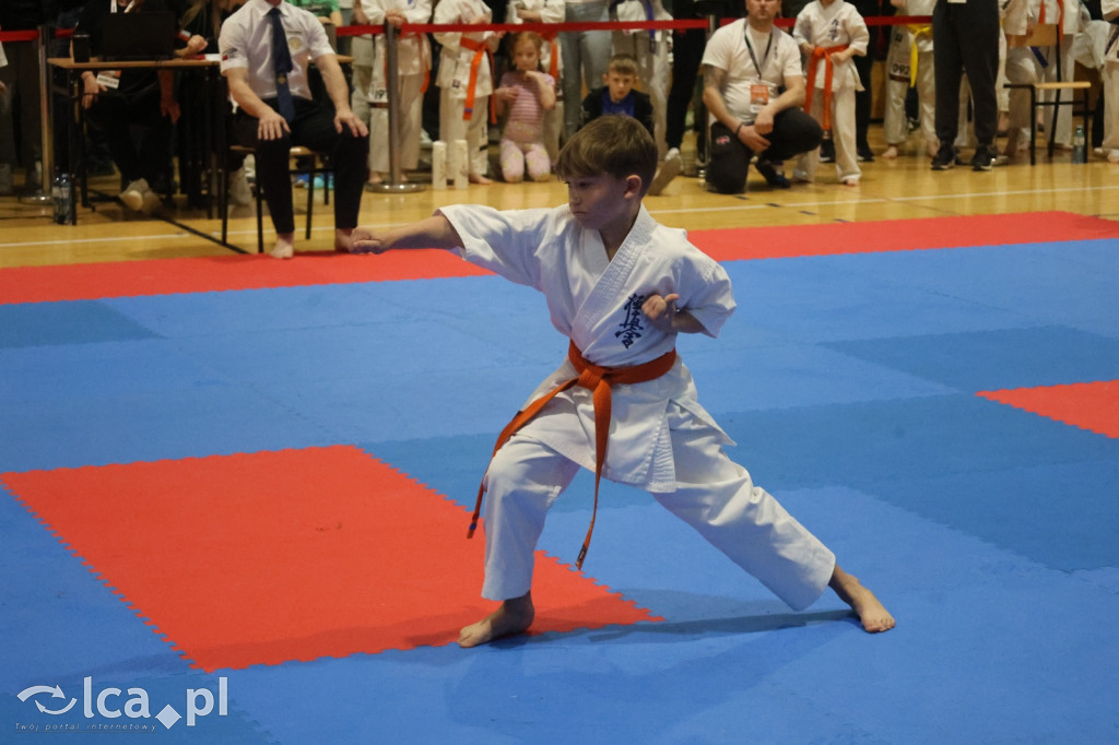 X SILESIA CUP Legnickie Pole