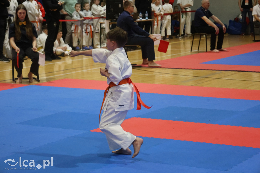 X SILESIA CUP Legnickie Pole